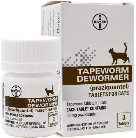 What is the typical presentation? Pyrantel Pamoate For Cats Tapeworm