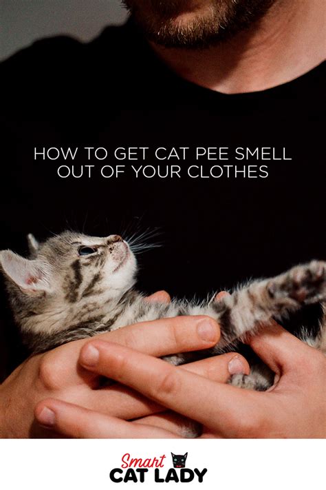 It is, after all, simply a post or board covered in carpeting or roping. How To Get Cat Pee Smell Out Of Your Clothes | Cat pee ...