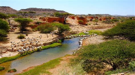 Sabine bohland nimmt die zuschauer mit auf die reise in ein land, das es eigentlich gar nicht gibt: Somaliland - Ein lohnendes Ziel abseits der ausgetretenen ...