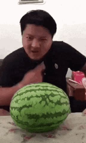 Added 6 years ago troll36 in funny gifs. Insect33 Chino GIF - Insect33 Chino Sandia - Discover & Share GIFs