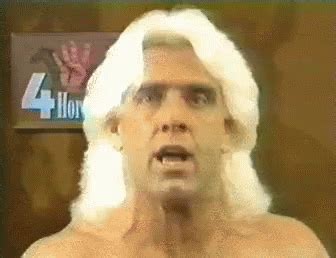 I was told to go for a 2 star due to a mismatch but this got me the 3 star. Ric Flair GIF - RicFlair WWF - Discover & Share GIFs