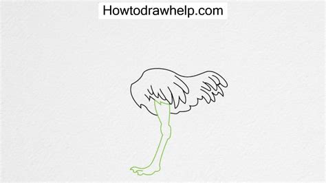 You can watch our lessons in a. How to draw an OSTRICH step by step for kids - YouTube