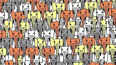 Puzzle page is a nice collection of puzzles delivered through a very elaborated app available on both android and ios devices. Can you find the panda hidden among the elephants? Try the ...