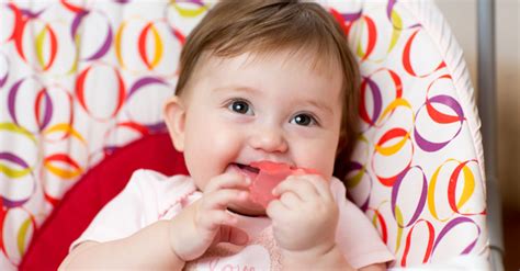 Karena di bayi belum sempurna mengunyah karena belum ada giginya, kita bantu mengunyahkan dari luar. Ciri-ciri Bayi Tumbuh Gigi