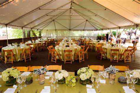 Traptrix mantis x2 traptrix dionaea x3 traptrix genlisea x2 traptrix nepenthes x1 traptrix atrax x2 traptrix ginalloa: A look at the Associates Deck set up for a recent wedding ...