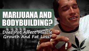 These vitamins and minerals are very important for your hair's healthy growth. Marijuana And Bodybuilding: Does Weed Affect Muscle Growth?