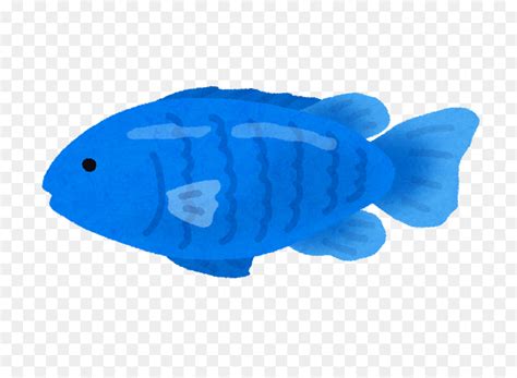 Ikan biru, merah, dan kuning, kartun ikan, kartun ikan laut imut, karakter kartun, mamalia laut ilustrasi 8 spesies ikan yang berbeda, ikan tropis angelfish aquarium, six fish kartun, karakter. 18+ Gambar Ikan Versi Kartun - Gambar Kartun Ku