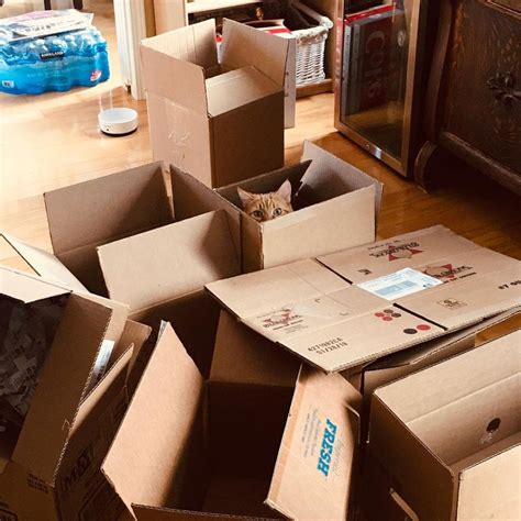 7 Ways to Get Free Moving Boxes - Containing the Chaos