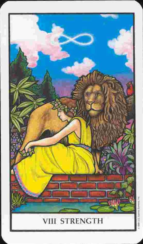Well strength card reversed ended up in someones feelings position. THE STRENGTH Tarot Card Meaning and Interpretation - Tarot Readings by Phone