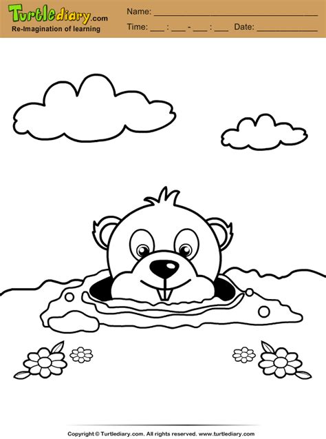 Groundhog day coloring page peeking groundhog primarygames. Groundhog Burrow Coloring Sheet | Turtle Diary