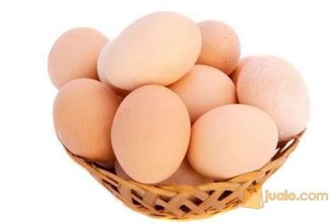 Check spelling or type a new query. Telur Ayam Ras asli tabanan bali | Denpasar | Jualo