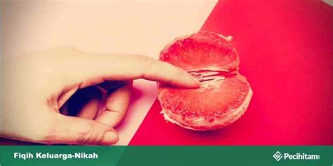 Nisaa`ukum harsul lakum fa'tuu harsakum annaa. Suami Memasukkan Jari ke Miss V Istri saat Bercinta ...