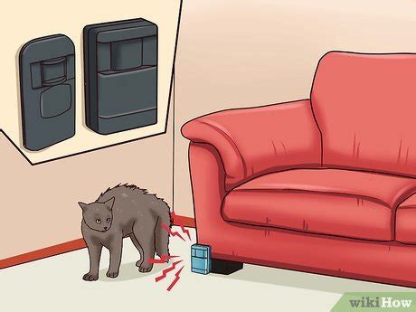Keeping your cat's claws relatively short can help discourage scratching and lessen any damage caused if he does scratch the furniture. 4 Ways to Stop a Cat from Clawing Furniture - wikiHow