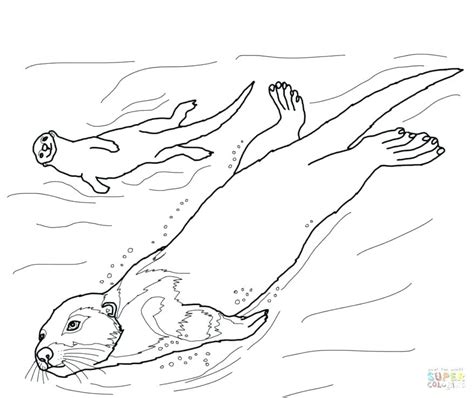 There are 670 baby sea otter for sale on etsy, and they cost $21.52 on average. Sea Otter Drawing at GetDrawings | Free download