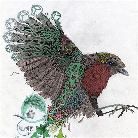 Where are the three three robins in district 10? THE ROBIN & THE FIR TREE - UNANICO STUDIOS