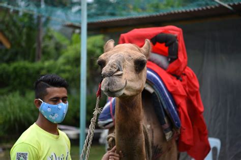 Giatmara balik pulau added 12 new photos from february 20, 2019 — at giatmara balik pulau. Balik Pulau sebagai destinasi pelancongan baharu Pulau ...