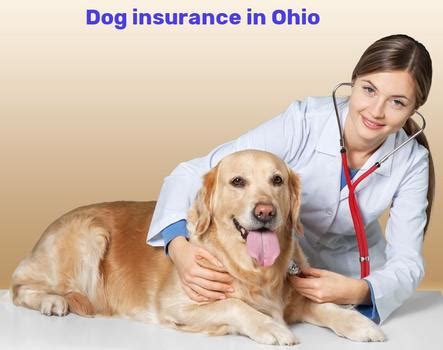 With pet medical insurance through a trupanion policy, you will pay a customizable, monthly premium. Pet insurance for dogs in Ohio | 4MeNearMe.com