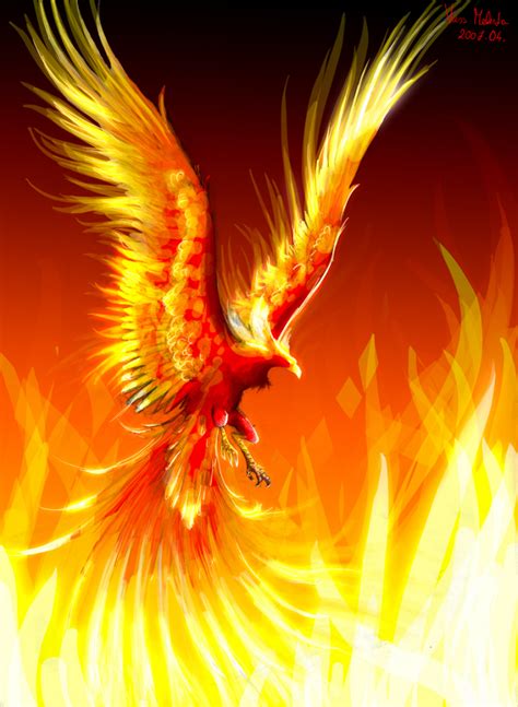 Best phoenix quotes selected by thousands of our users! Phoenix Bird Quotes. QuotesGram