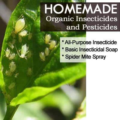 We make shopping quick and easy. How To Make Your Own Homemade Organic Pesticide