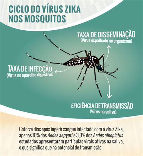 Recent papers in aedes aegypti and aedes albopictus. Estudo avalia transmissão de Zika por 'Aedes alpopictus'