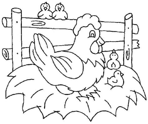 Aneka Gambar Mewarnai Hewan Ayam Untuk Anak PAUD dan TK Terbaru | gambarcoloring
