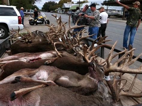 We did not find results for: Hunting Game: What My Deer Lease Should Look Like...
