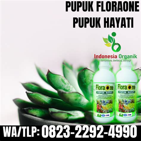 Anfush adalah agen hayati yg berbahan aktip jamur tricodherma sp dan gliocladium sp, yg berguna bagi tanaman, berikut manfaat anfush bagi tanaman. HARI INI_0823*2292*4990. JUAL pupuk hayati cair Aceh, DISTRIBUTOR pupuk hayati terbaik Banda ...