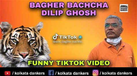 Dilip ghosh is an indian film director and producer. বাঘের বাচ্চা দিলীপ ঘোষ | BAGHER BACHCHA DILIP GHOSH ...