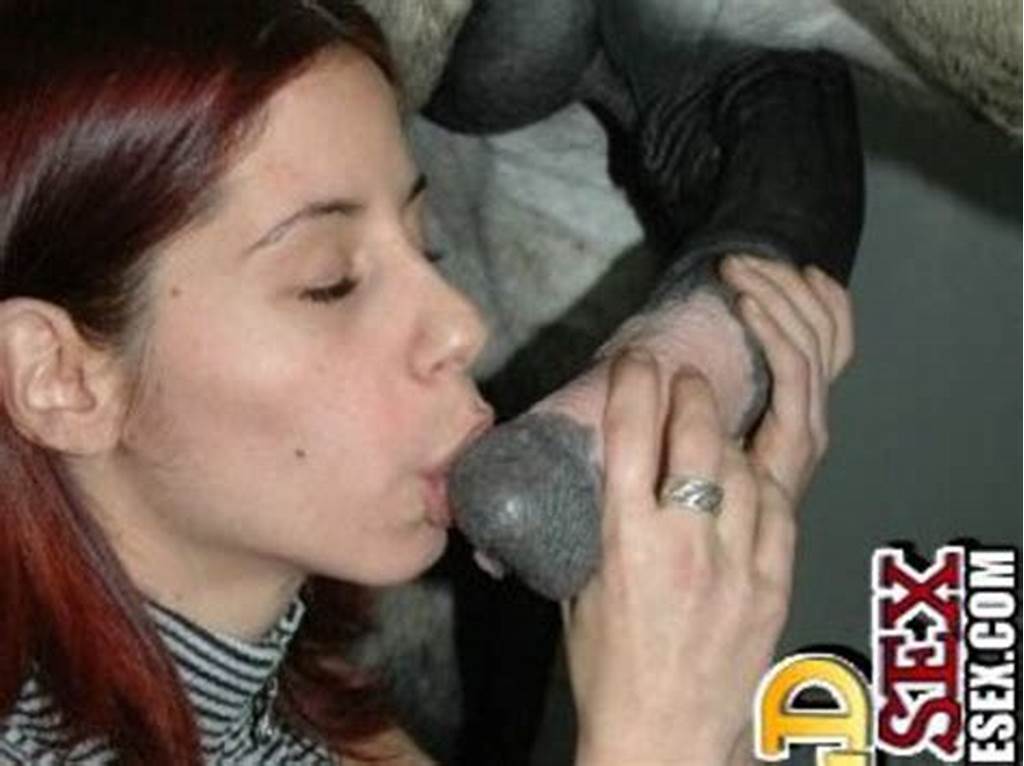 Bonny teen kissing cock of horse num. 