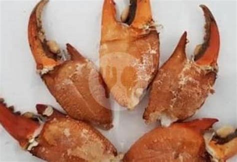 kepiting nampar