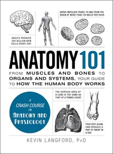 Anatomical structure of human body, muscle groups, tendons. Anatomy 101 | Book by Kevin Langford | Official Publisher Page | Simon & Schuster