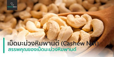 เม็ดมะม่วงหิมพานต์ (Cashew Nut) | HD สุขภาพดี เริ่มต้นที่นี่