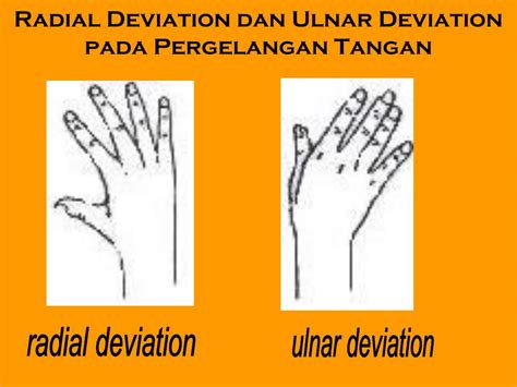 Jika kesakitan pada tempat lain seperti upper back, menunjukkan kelemahan upper back. PPT - RULA REBA NORDIC BODY MAP PowerPoint Presentation ...