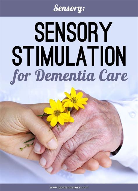 Bikes, skis, splitboards, winter clothes, snowshoes and camping gear. Sensory Stimulation for Dementia Care | Dementia, Sensory ...