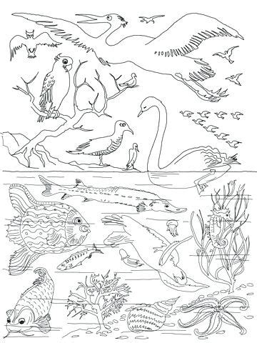 Days of creation multiple genesis 1 coloring pages featuring very cute illustrations inside large bubble numbers, along with a simple verse on each page. Printable Creation Coloring Pages at GetDrawings | Free ...