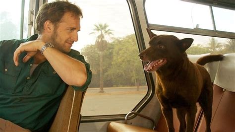 Blue, green, pink, red, black, yellow, gray, orange, white, purple, brown, coffee, multicolor, beige. 'Red Dog' Star Josh Lucas Talks the Power of Dogs and Dog ...