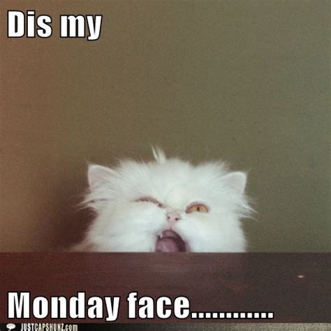 Puppy moderator has cute job. 19 Monday memes | SO LIFE QUOTES
