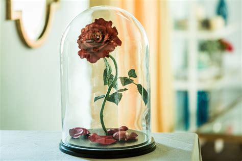 Maybe you would like to learn more about one of these? How To - Home & Family: DIY Enchanted Rose | Hallmark Channel