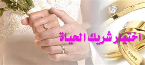 Solutions by stc شريك هواوي لإطلاق ideahub. كيفية اختيار شريك الحياة وأهم النصائح في اختياره