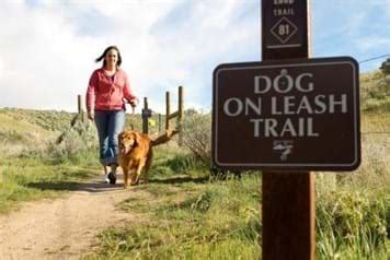 Tidbinbilla is a popular weekend destination for locals and tourists, with over 20 bushwalks to explore varying between short walks of. Dogs and Trails | Ridge to Rivers