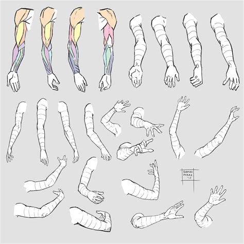 See more ideas about drawing reference, anatomy drawing, art reference poses. Drew some arms (and hands) to learn about the structure. Used myself as a refere in 2020 | Art ...