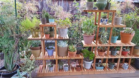 Outdoor succulent designing made easy. I built myself a succulent stand. : gardening