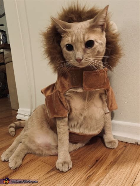 Magical, meaningful items you can't find anywhere else. The Lion King Cat Costume | Easy DIY Costumes - Photo 2/3