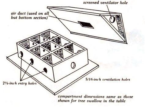 Free purple martin house plans. Beautiful Martin Bird House Plans Pdf - New Home Plans Design