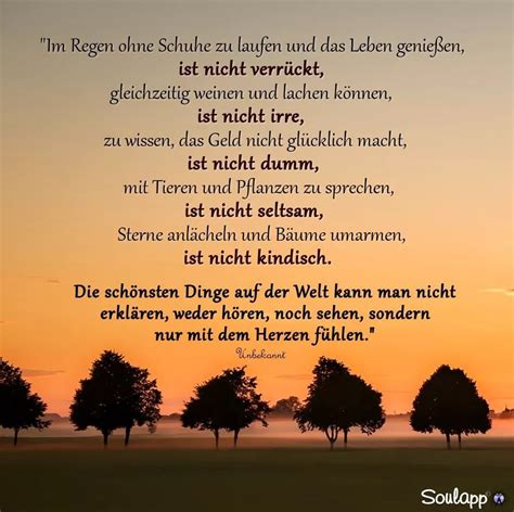 Einfach mal was "Verrücktes" tun, in die Sterne gucken ...
