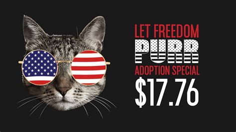 Located in sherwood, or 🌲 follow us for adorable cat pics and more!🐱 linktr.ee/catadoptpdx. Let Freedom PURR! - Cat Adoption Event | WJVL