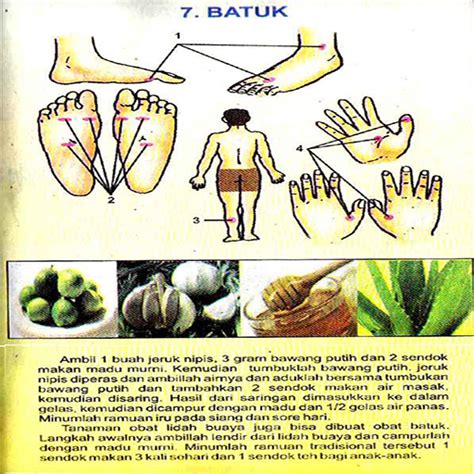 Sakit tumit merupakan sebuah gangguan pada kaki yang sangat menyiksa, bagaimana tidak seseorang yang mengalami sakit pada telapak kaki akan susah untuk berjalan dan terganggu saat menjalani aktiitas harian yang akan dilakukan. Mengunduh Titik Pijat Refleksi Tubuh Google Play softwares ...