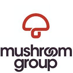 After its sale in 1998 along with mushroom distribution services, they merged into festival mushroom records. Damian Costin - MUSHROOM GROUP - Australian Radio Promotion