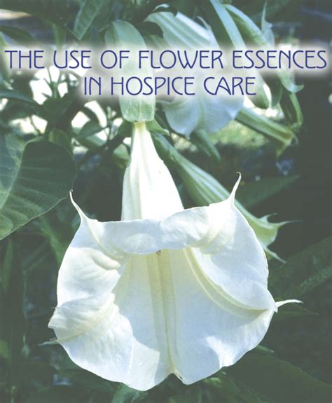 Thanks to an innovative partnership between emmanuel hospice and the flight to remember foundation, which uses drone technology to allow patients to tour. The Use of Flower Essences in Hospice Care