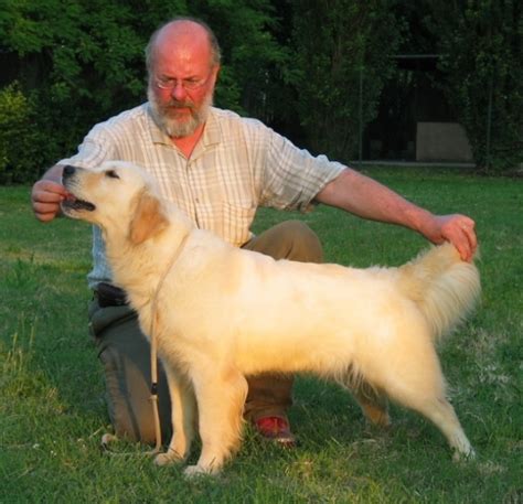 In genere, nei sogni come nella realtà, l'ombra segue e insegue il sognatore. DGO - - Femmine - Allevamento Golden Retriever "Delle ...